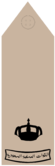 RAID (Field uniforms).png