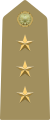 Capitano Italian Army
