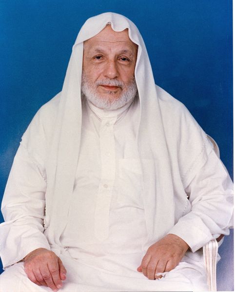 ملف:Sheikh Ali Tantawi.jpg