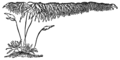 Habit of individual in relatively shallow water.