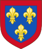 الدرع Anjou