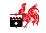 علم شارلروا Charleroi
