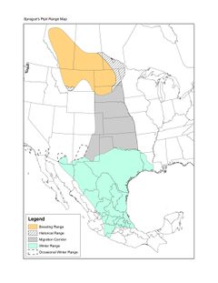 Jones pipit map sept23 2010 final.jpg