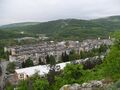 "Cholakovtsi"