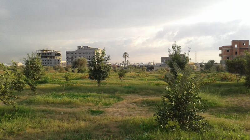 ملف:Ain Zara farm.jpg