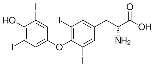 ملف:Dextrothyroxine skeletal.svg