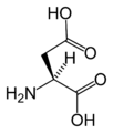 L-حمض الأسپارتيك (Asp / D)