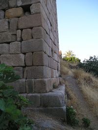 Murallacoriadet.jpg