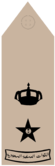 MUQADDAM (Field uniforms).png