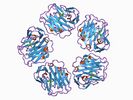 PDB 1b09 EBI.jpg