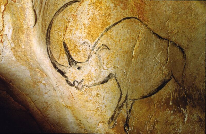 ملف:Rhinocéros grotte Chauvet.jpg