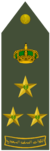 AMID (RSLF).png