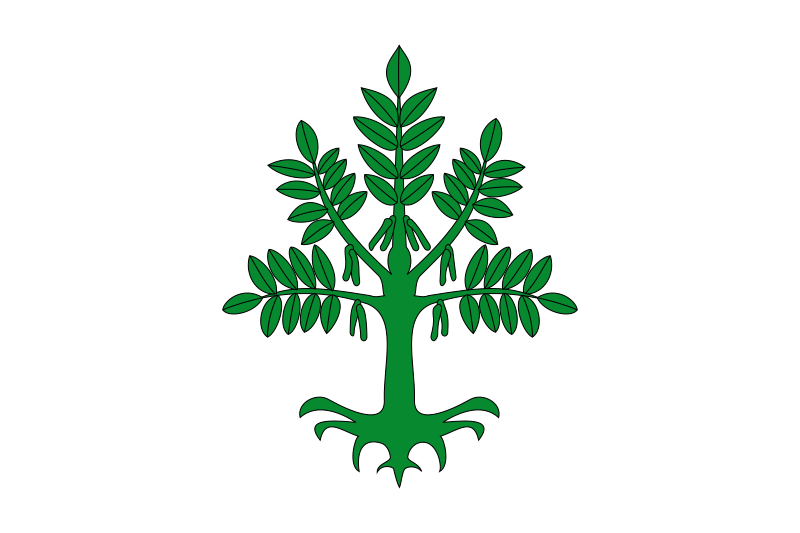 ملف:Bandera de Flix.svg