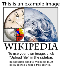 This is the third example alt text.