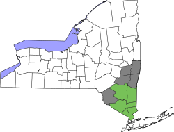Counties usually (green) and sometimes (gray) considered to be a part of the Hudson Valley region[أ]