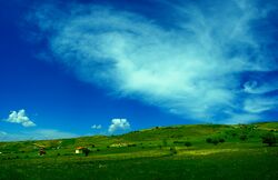 Nature of Deylaman.jpg