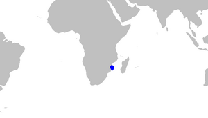 Paragaleus leucolomatus distmap.png