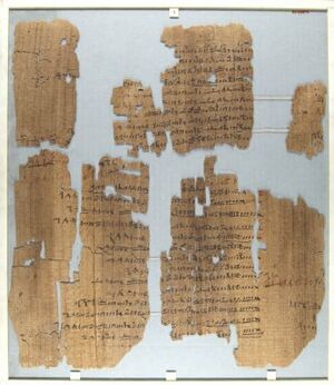 Wilbour Papyrus Back Brooklyn Museum.jpg