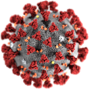 2019-nCoV-CDC-23312 without background.png