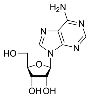 Adenosine.png