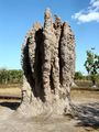 Cathedral Mounds in the Northern Territory of Australia