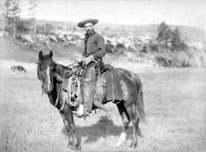 The Cow Boy 1888.jpg