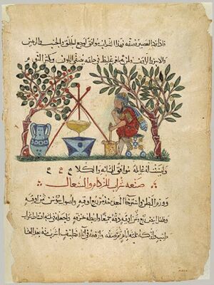 Ibn-Wafid.jpg