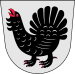 درع Central Finland