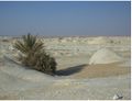 Whitedesert11.jpg