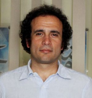 Amr Hamzawy cropped.jpg