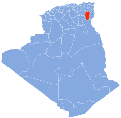 DZ-40 (2019).svg