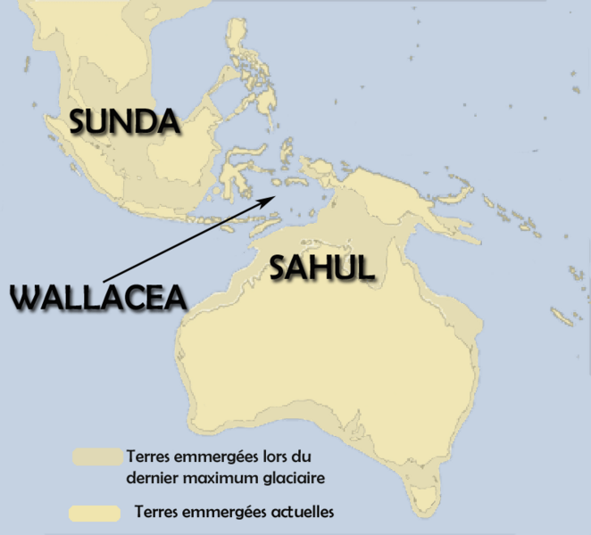 ملف:Sunda-sahul-wallacea.png