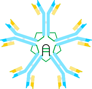 IgM scheme.svg
