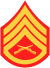 three chevrons up and one down with crossed rifles