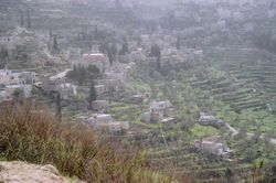 بتير.