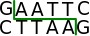 EcoRI restriction enzyme recognition site.svg