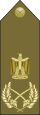 رتبة مشير