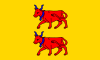 علم Béarn Biarn Bearn