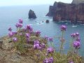 Ponta de São Lourenço (north) - May 2007.jpg