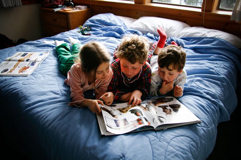 ملف:Studying Star Wars.jpg