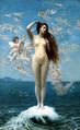 Venus Rising the Star