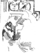 Tanedjemy.png