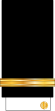 10-IRIN-PENS-(Sleeve).svg
