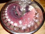 Raw octopus arms