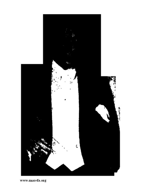 ملف:كمال أتاتورك.pdf