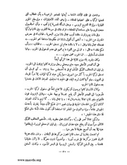 الصفحة التالية &larr;