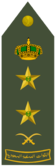 FARIQ AWWAL (RSLF).png
