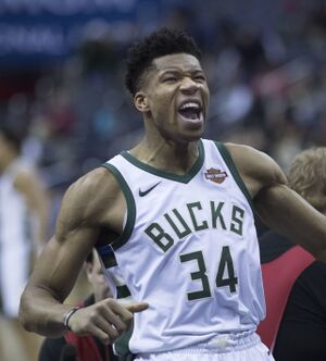 Giannis Antetokounmpo (24845003687) (cropped).jpg
