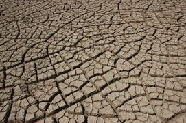 Drying inelastic mud in the Rann of Kutch with mainly 90° cracks