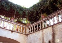 Roof terrace garden (Ventimiglia, Italy)